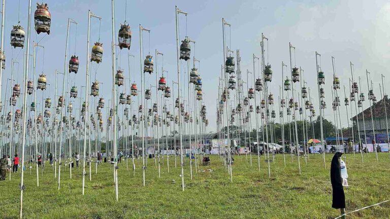 Suara Alam Bergaung di Madura: Ajang Bergengsi Perkutut Digelar Meriah