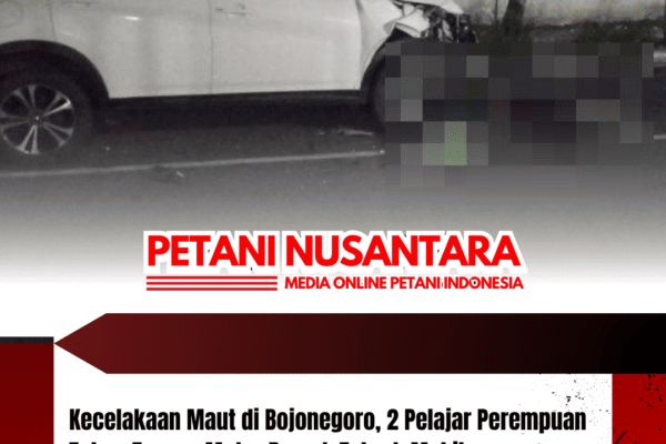Kecelakaan Maut di Bojonegoro, 2 Pelajar Perempuan Tuban Tewas, Motor Remuk Tabrak Mobil