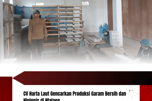 CV Harta Laut Gencarkan Produksi Garam Bersih dan Higienis di Malang