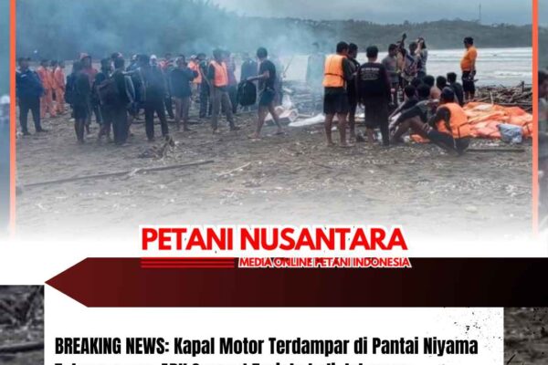 BREAKING NEWS: Kapal Motor Terdampar di Pantai Niyama Tulungagung, ABK Sempat Terjebak di dalamnya