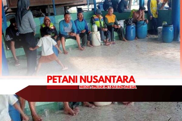 KMN Semi Jaya Lamongan Tabrak Kapal Tongkang hingga Tenggelam, 13 ABK Berhasil Diselamatkan