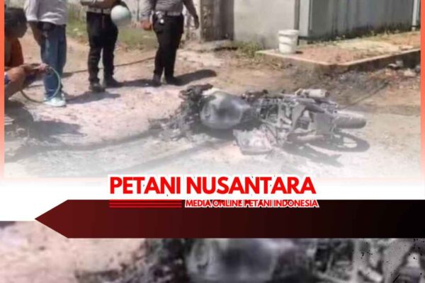 Motor Ludes Terbakar di Bondowoso, Pengendara Alami Luka Bakar