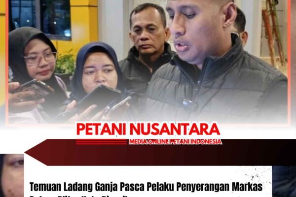 Temuan Ladang Ganja Pasca Pelaku Penyerangan Markas Polres Blitar Kota Diperiksa