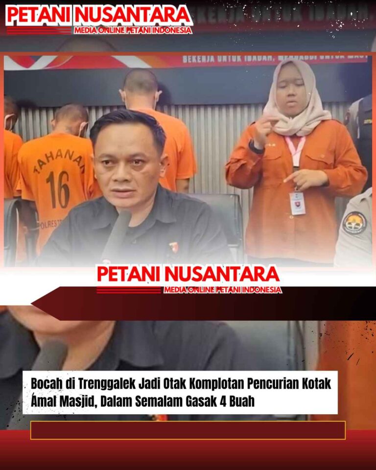 Bocah di Trenggalek Jadi Otak Komplotan Pencurian Kotak Amal Masjid, Dalam Semalam Gasak 4 Buah
