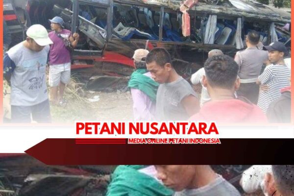 Gubernur Khofifah Sampaikan Dukacita atas Kecelakaan Rombongan Nakes RSBS Jember, Berangkat Takziah