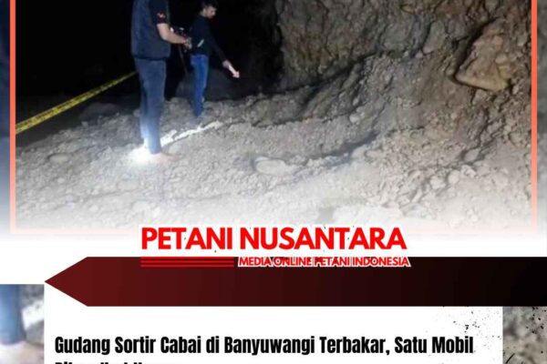 Kakak Beradik Penambang Batu di Ponorogo Meregang Nyawa, Tertimbun Longsor saat Bekerja