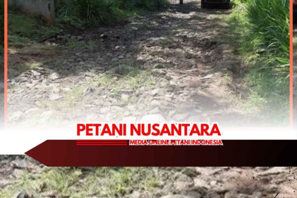 Proses Lelang Selesai, 18 Ruas Jalan di Lumajang yang Rusak Parah segera Diperbaiki