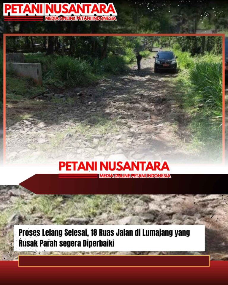 Proses Lelang Selesai, 18 Ruas Jalan di Lumajang yang Rusak Parah segera Diperbaiki